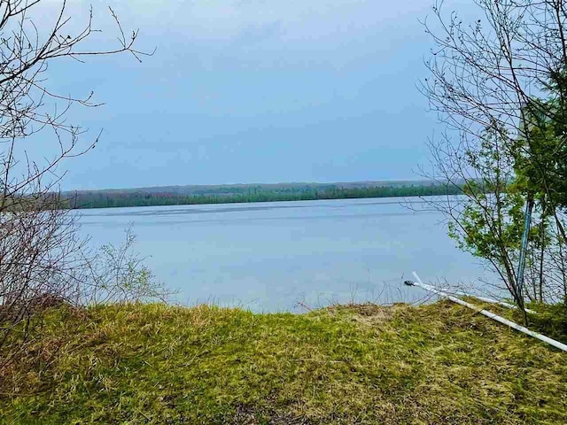 1368 S M-88, Bellaire, MI 49615 - water view