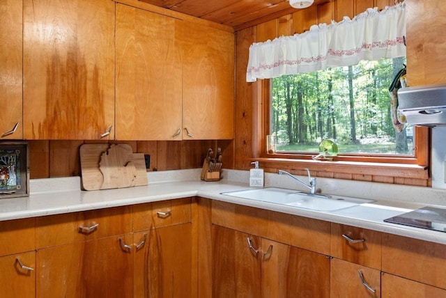 14786 Nuenfelt Rd, Johannesburg, MI 49756 - kitchen featuring a sink, light countertops, ventilation hood, brown cabinetry, and black electric stovetop