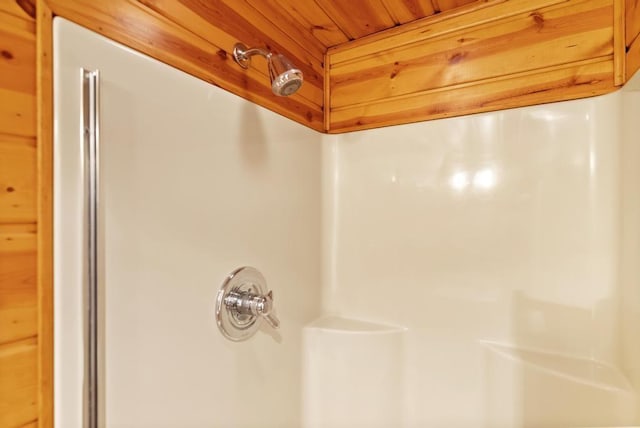 14786 Nuenfelt Rd, Johannesburg, MI 49756 - bathroom view of a shower and wood ceiling