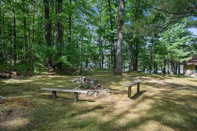 14786 Nuenfelt Rd, Johannesburg, MI 49756 - view of yard