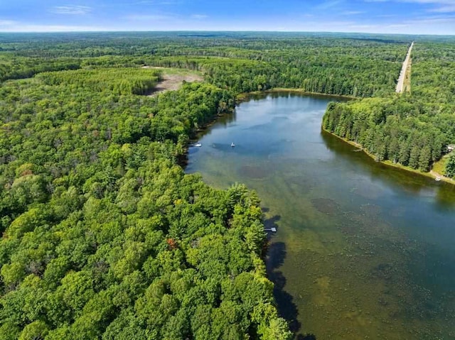 14786 Nuenfelt Rd, Johannesburg, MI 49756 - aerial view of property's location featuring a heavily wooded area and a large body of water