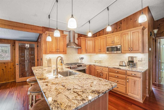 3414 Reycraft Rd, Boyne City, MI 49712 - kitchen with wall chimney exhaust hood, stainless steel appliances, a sink, wooden walls, and dark wood-style floors