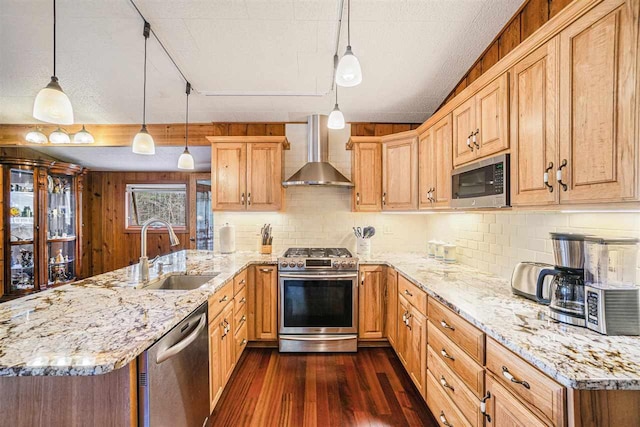 3414 Reycraft Rd, Boyne City, MI 49712 - kitchen with stainless steel appliances, wall chimney exhaust hood, a sink, dark wood-style floors, and a peninsula