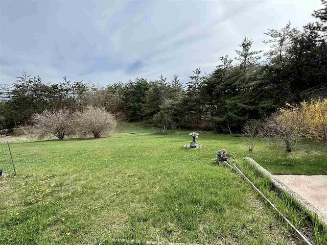 view of green lawn