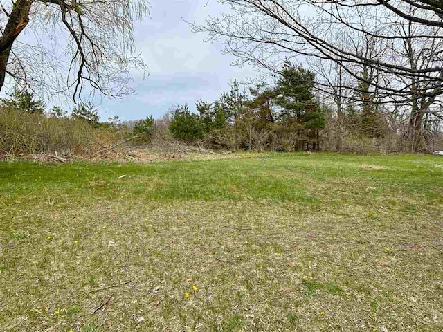 view of undeveloped land