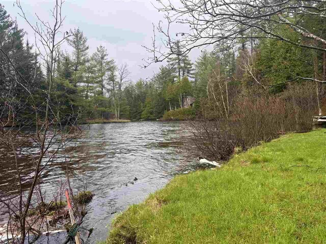 water view featuring a heavily wooded area
