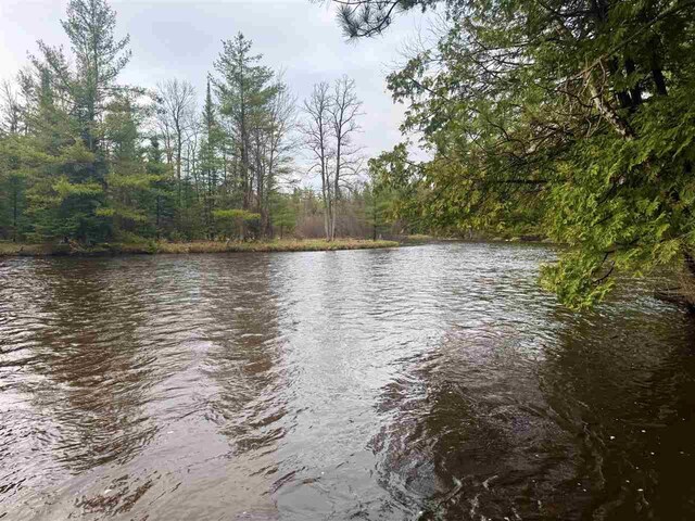 water view featuring a heavily wooded area