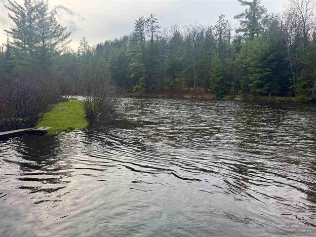 water view featuring a heavily wooded area
