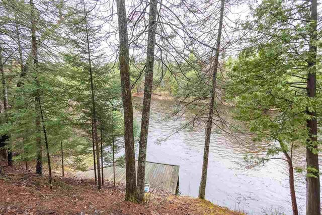 water view featuring a heavily wooded area