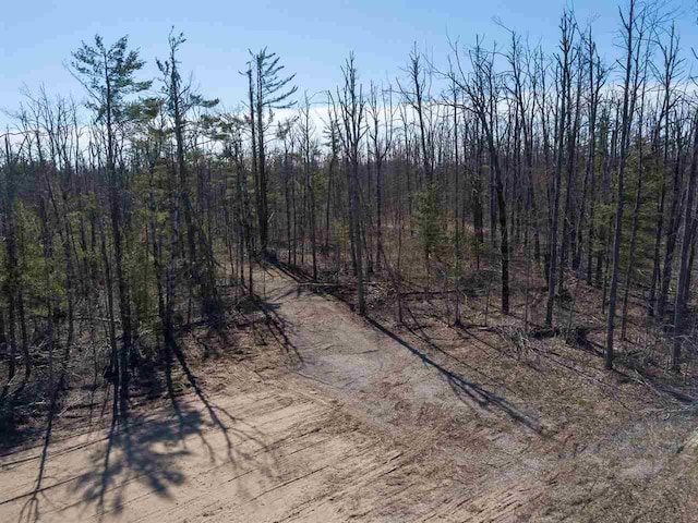 2400 Lone Pine Rd, Gaylord, MI 49735