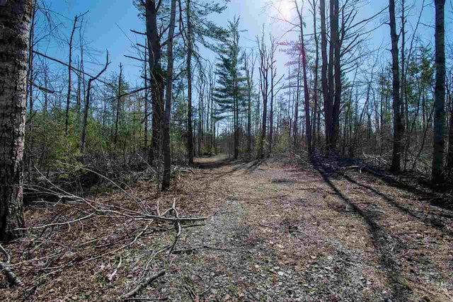 2400 Lone Pine Rd, Gaylord, MI 49735