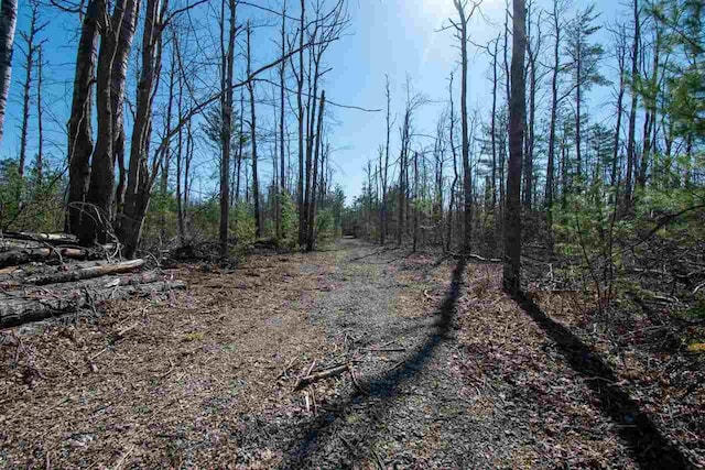2400 Lone Pine Rd, Gaylord, MI 49735