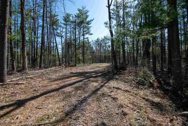 2400 Lone Pine Rd, Gaylord, MI 49735