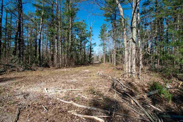 2400 Lone Pine Rd, Gaylord, MI 49735