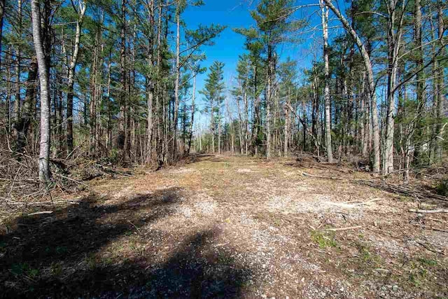 2400 Lone Pine Rd, Gaylord, MI 49735
