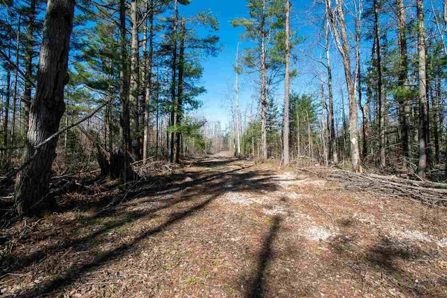 2400 Lone Pine Rd, Gaylord, MI 49735
