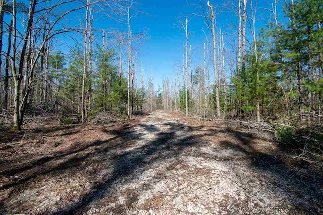 2400 Lone Pine Rd, Gaylord, MI 49735