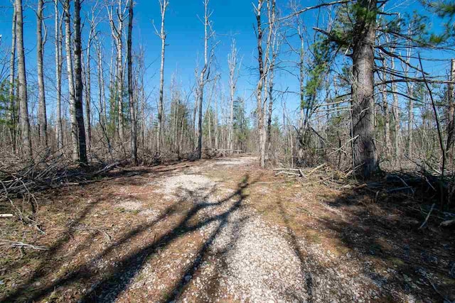 2400 Lone Pine Rd, Gaylord, MI 49735
