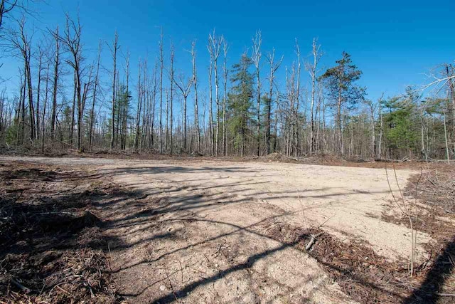 2400 Lone Pine Rd, Gaylord, MI 49735