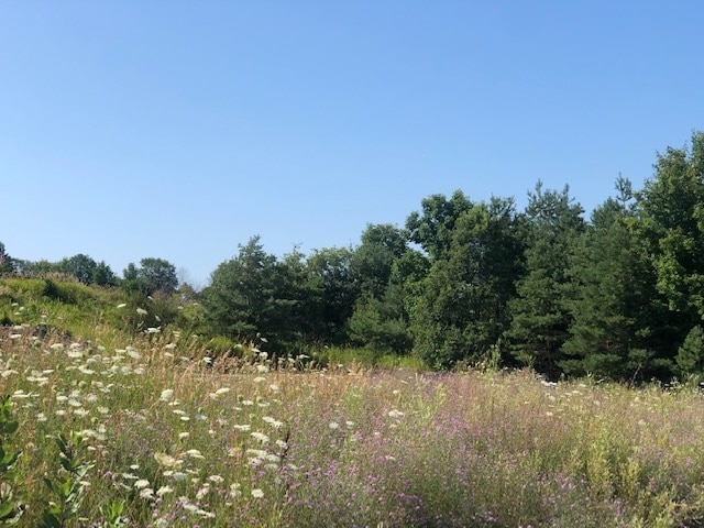 760 Maple Creek Blvd, Petoskey, MI 49770