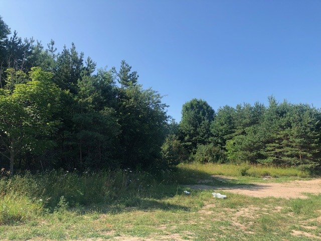 760 Maple Creek Blvd, Petoskey, MI 49770
