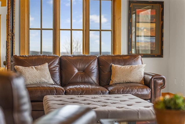 4133 Shadynook Rd, Central Lake, MI 49622 - living area featuring plenty of natural light