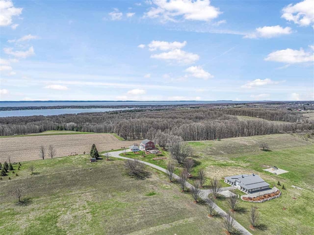 4133 Shadynook Rd, Central Lake, MI 49622 - overview of rural landscape featuring a nearby body of water and a heavily wooded area