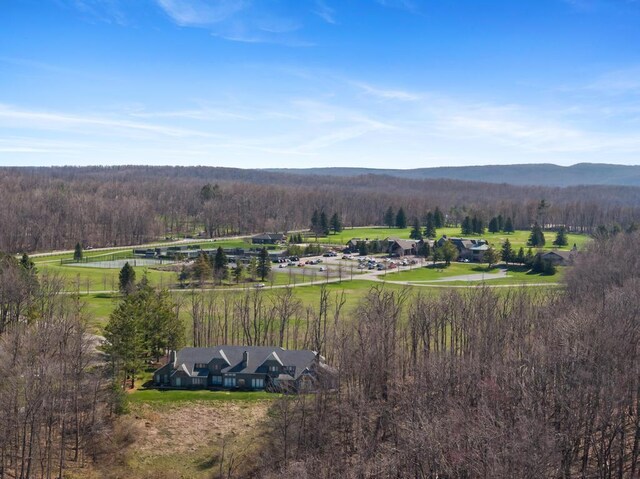 334 Birchwood Ter, Harbor Springs, MI 49740 - aerial view of a forest