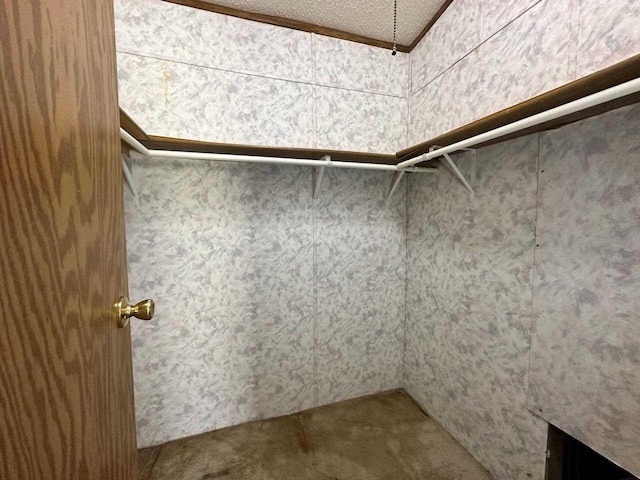 4049 Musser Rd, Mancelona, MI 49659 - walk in closet with carpet floors
