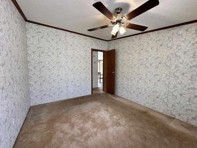 4049 Musser Rd, Mancelona, MI 49659 - empty room with crown molding, a ceiling fan, a textured ceiling, and carpet flooring