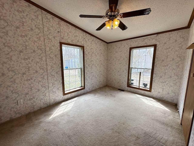 4049 Musser Rd, Mancelona, MI 49659 - unfurnished room with healthy amount of natural light, ornamental molding, vaulted ceiling, a textured ceiling, and carpet flooring