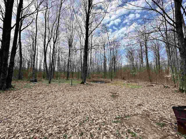 4049 Musser Rd, Mancelona, MI 49659 - view of woods
