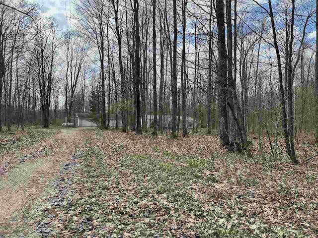 4049 Musser Rd, Mancelona, MI 49659 - view of woods