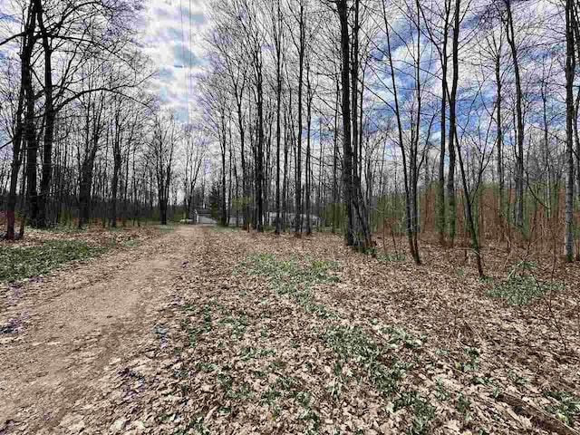 4049 Musser Rd, Mancelona, MI 49659 - view of road