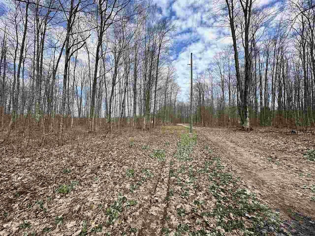 4049 Musser Rd, Mancelona, MI 49659 - view of nature