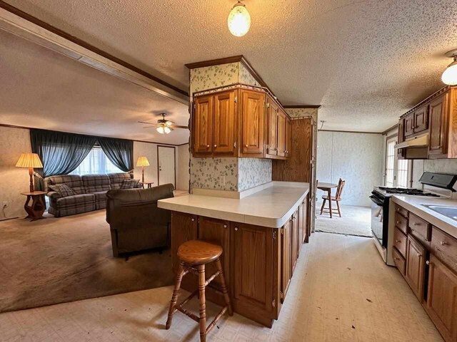 4049 Musser Rd, Mancelona, MI 49659 - kitchen featuring black range with gas cooktop, a textured ceiling, under cabinet range hood, light countertops, and open floor plan