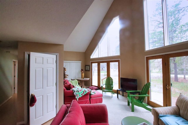 3330 Commodore Dr, East Jordan, MI 49727 - living room with french doors, plenty of natural light, carpet flooring, and a towering ceiling