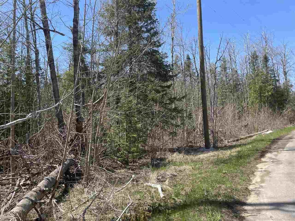 2189 Barney Rd, Petoskey, MI 49770