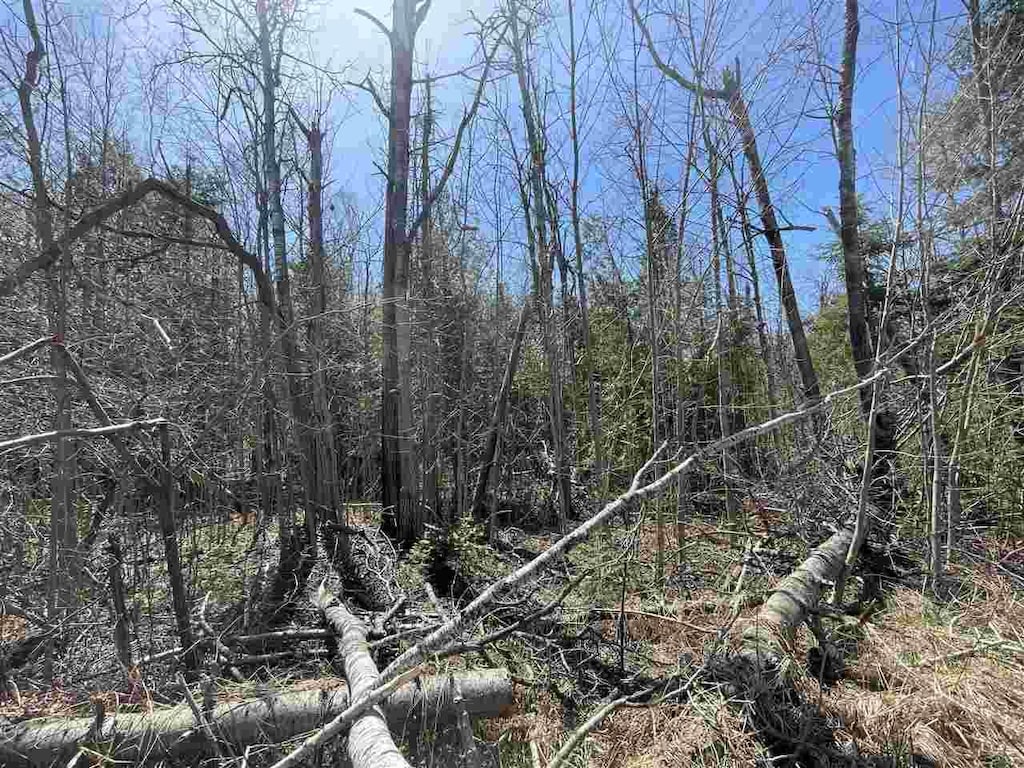 2189 Barney Rd, Petoskey, MI 49770