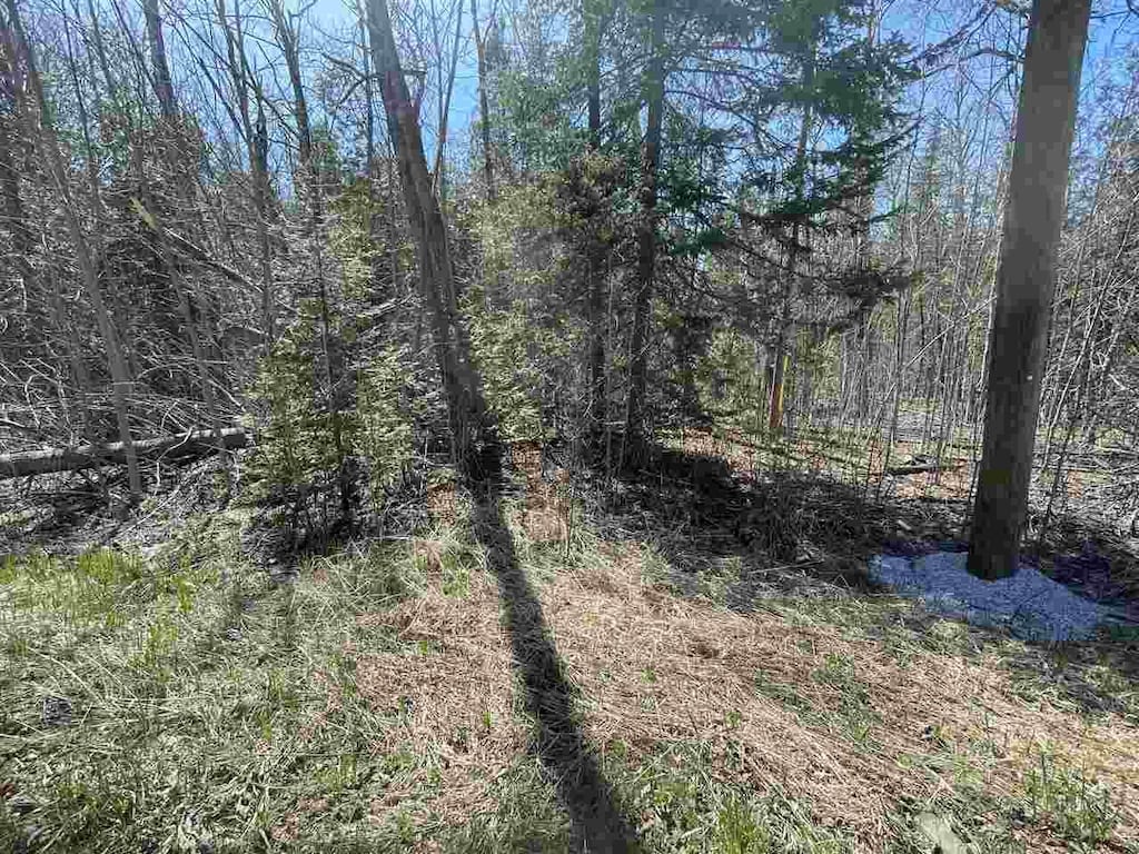 2189 Barney Rd, Petoskey, MI 49770