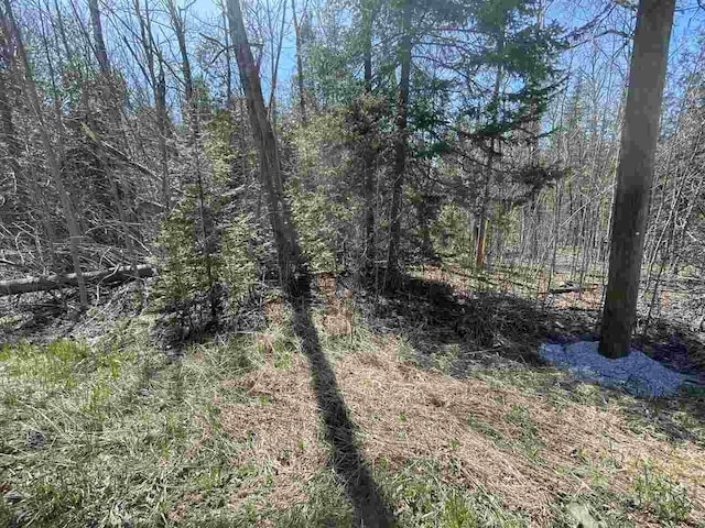 2189 Barney Rd, Petoskey, MI 49770