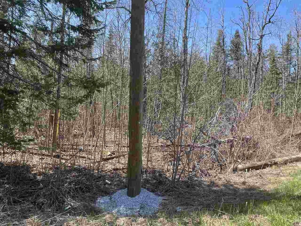 2189 Barney Rd, Petoskey, MI 49770