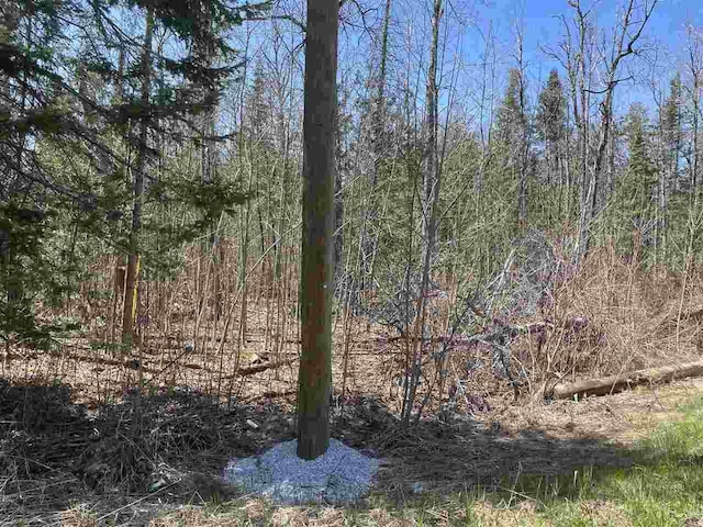 2189 Barney Rd, Petoskey, MI 49770