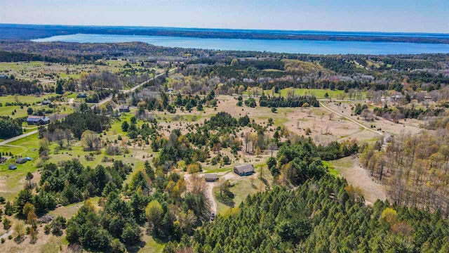 10300 Vista Ridge Dr, Alden, MI 49612 - aerial view of property and surrounding area with a large body of water
