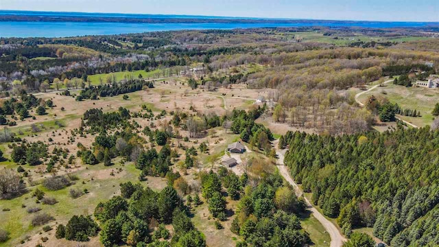 10300 Vista Ridge Dr, Alden, MI 49612 - aerial view of property and surrounding area featuring a forest and a large body of water