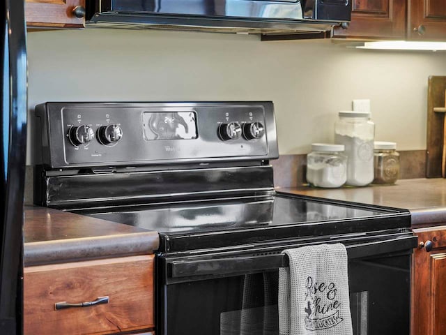 10300 Vista Ridge Dr, Alden, MI 49612 - kitchen view of range with electric cooktop