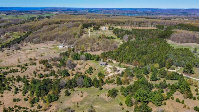 10300 Vista Ridge Dr, Alden, MI 49612 - aerial overview of property's location with a forest