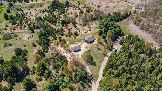 10300 Vista Ridge Dr, Alden, MI 49612 - view of property location with rural landscape