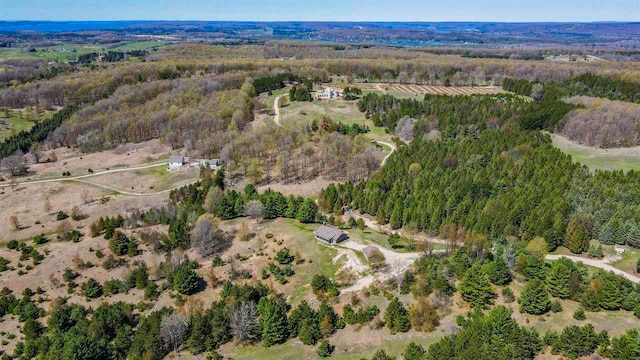 10300 Vista Ridge Dr, Alden, MI 49612 - aerial view of property's location with a heavily wooded area