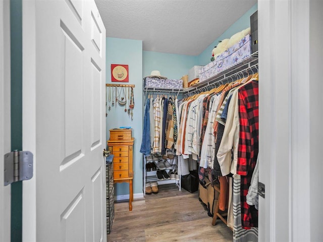1564 Emerald Ct Unit 85, Petoskey, MI 49770 - walk in closet with wood finished floors